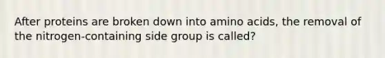 After proteins are broken down into amino acids, the removal of the nitrogen-containing side group is called?