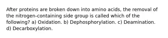 After proteins are broken down into amino acids, the removal of the nitrogen-containing side group is called which of the following? a) Oxidation. b) Dephosphorylation. c) Deamination. d) Decarboxylation.