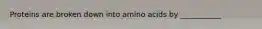Proteins are broken down into amino acids by ___________