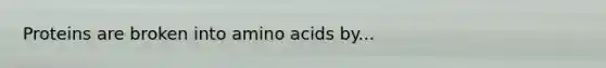 Proteins are broken into amino acids by...