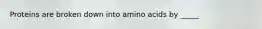 Proteins are broken down into amino acids by _____