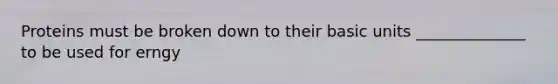 Proteins must be broken down to their basic units ______________ to be used for erngy