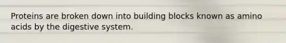 Proteins are broken down into building blocks known as <a href='https://www.questionai.com/knowledge/k9gb720LCl-amino-acids' class='anchor-knowledge'>amino acids</a> by the digestive system.