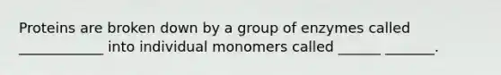 Proteins are broken down by a group of enzymes called ____________ into individual monomers called ______ _______.