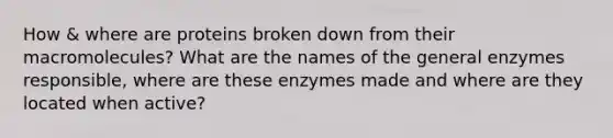 How & where are proteins broken down from their macromolecules? What are the names of the general enzymes responsible, where are these enzymes made and where are they located when active?