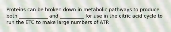 Proteins can be broken down in metabolic pathways to produce both ____________ and __________ for use in the citric acid cycle to run the ETC to make large numbers of ATP.