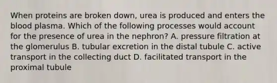 When proteins are broken down, urea is produced and enters the blood plasma. Which of the following processes would account for the presence of urea in the nephron? A. pressure filtration at the glomerulus B. tubular excretion in the distal tubule C. active transport in the collecting duct D. facilitated transport in the proximal tubule