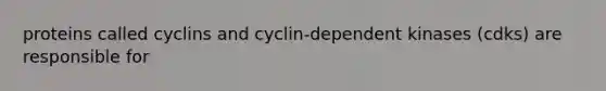 proteins called cyclins and cyclin-dependent kinases (cdks) are responsible for