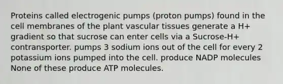 Proteins called electrogenic pumps (proton pumps) found in the cell membranes of the plant vascular tissues generate a H+ gradient so that sucrose can enter cells via a Sucrose-H+ contransporter. pumps 3 sodium ions out of the cell for every 2 potassium ions pumped into the cell. produce NADP molecules None of these produce ATP molecules.