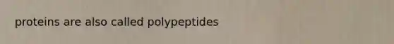 proteins are also called polypeptides