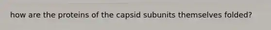 how are the proteins of the capsid subunits themselves folded?