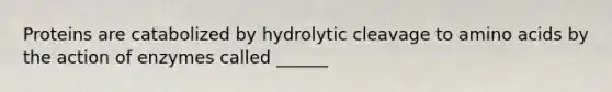 Proteins are catabolized by hydrolytic cleavage to amino acids by the action of enzymes called ______