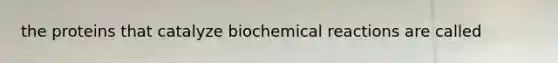 the proteins that catalyze biochemical reactions are called