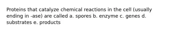 Proteins that catalyze chemical reactions in the cell (usually ending in -ase) are called a. spores b. enzyme c. genes d. substrates e. products