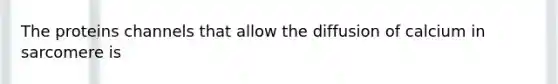 The proteins channels that allow the diffusion of calcium in sarcomere is