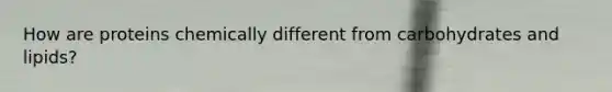 How are proteins chemically different from carbohydrates and lipids?