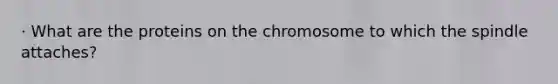 · What are the proteins on the chromosome to which the spindle attaches?