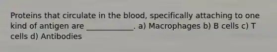 Proteins that circulate in the blood, specifically attaching to one kind of antigen are ____________. a) Macrophages b) B cells c) T cells d) Antibodies