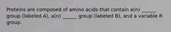 Proteins are composed of amino acids that contain a(n) ______ group (labeled A), a(n) ______ group (labeled B), and a variable R group.