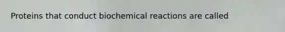 Proteins that conduct biochemical reactions are called