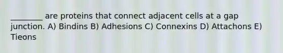 ________ are proteins that connect adjacent cells at a gap junction. A) Bindins B) Adhesions C) Connexins D) Attachons E) Tieons