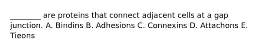 ________ are proteins that connect adjacent cells at a gap junction. A. Bindins B. Adhesions C. Connexins D. Attachons E. Tieons