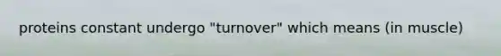 proteins constant undergo "turnover" which means (in muscle)