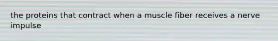 the proteins that contract when a muscle fiber receives a nerve impulse