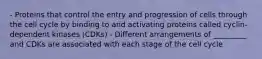 - Proteins that control the entry and progression of cells through the cell cycle by binding to and activating proteins called cyclin-dependent kinases (CDKs) - Different arrangements of _________ and CDKs are associated with each stage of the cell cycle