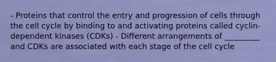 - Proteins that control the entry and progression of cells through the <a href='https://www.questionai.com/knowledge/keQNMM7c75-cell-cycle' class='anchor-knowledge'>cell cycle</a> by binding to and activating proteins called cyclin-dependent kinases (CDKs) - Different arrangements of _________ and CDKs are associated with each stage of the cell cycle