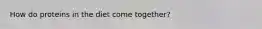 How do proteins in the diet come together?