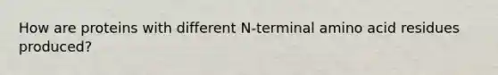 How are proteins with different N-terminal amino acid residues produced?