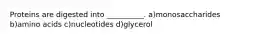 Proteins are digested into __________. a)monosaccharides b)amino acids c)nucleotides d)glycerol