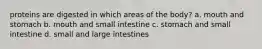 proteins are digested in which areas of the body? a. mouth and stomach b. mouth and small intestine c. stomach and small intestine d. small and large intestines