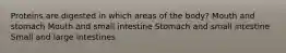 Proteins are digested in which areas of the body? Mouth and stomach Mouth and small intestine Stomach and small intestine Small and large intestines