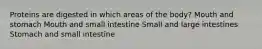 Proteins are digested in which areas of the body? Mouth and stomach Mouth and small intestine Small and large intestines Stomach and small intestine