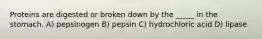 Proteins are digested or broken down by the _____ in the stomach. A) pepsinogen B) pepsin C) hydrochloric acid D) lipase