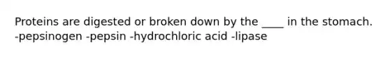 Proteins are digested or broken down by the ____ in the stomach. -pepsinogen -pepsin -hydrochloric acid -lipase