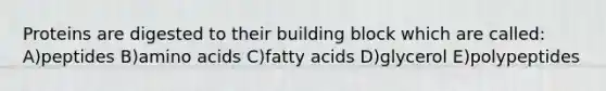 Proteins are digested to their building block which are called: A)peptides B)amino acids C)fatty acids D)glycerol E)polypeptides