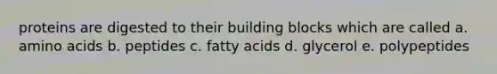 proteins are digested to their building blocks which are called a. <a href='https://www.questionai.com/knowledge/k9gb720LCl-amino-acids' class='anchor-knowledge'>amino acids</a> b. peptides c. fatty acids d. glycerol e. polypeptides