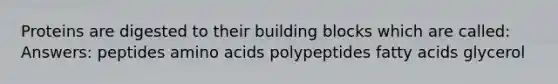 Proteins are digested to their building blocks which are called: Answers: peptides <a href='https://www.questionai.com/knowledge/k9gb720LCl-amino-acids' class='anchor-knowledge'>amino acids</a> polypeptides fatty acids glycerol