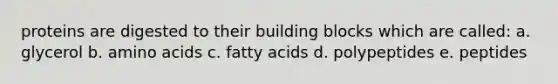 proteins are digested to their building blocks which are called: a. glycerol b. <a href='https://www.questionai.com/knowledge/k9gb720LCl-amino-acids' class='anchor-knowledge'>amino acids</a> c. fatty acids d. polypeptides e. peptides