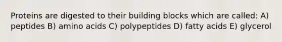 Proteins are digested to their building blocks which are called: A) peptides B) amino acids C) polypeptides D) fatty acids E) glycerol