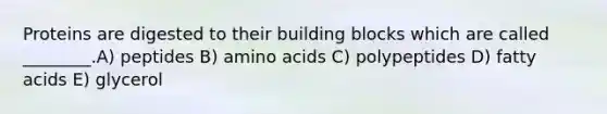 Proteins are digested to their building blocks which are called ________.A) peptides B) <a href='https://www.questionai.com/knowledge/k9gb720LCl-amino-acids' class='anchor-knowledge'>amino acids</a> C) polypeptides D) fatty acids E) glycerol