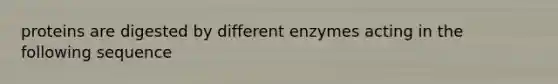 proteins are digested by different enzymes acting in the following sequence