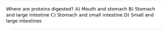 Where are proteins digested? A) Mouth and stomach B) Stomach and large intestine C) Stomach and small intestine D) Small and large intestines