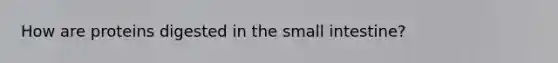 How are proteins digested in the small intestine?