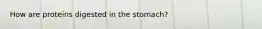 How are proteins digested in the stomach?