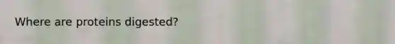 Where are proteins digested?