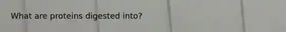 What are proteins digested into?